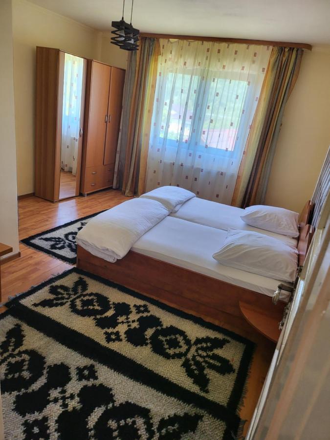 Pension Bud Oncesti  Екстер'єр фото